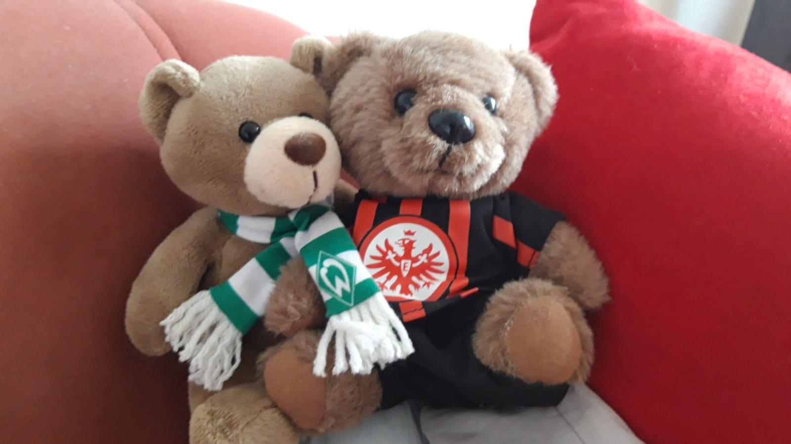 Teddybären im Werder- und Eintracht-Outfit nebeneinander